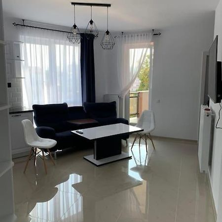 Cozy Apartment In The Center Of Κλουζ-Ναπόκα Εξωτερικό φωτογραφία
