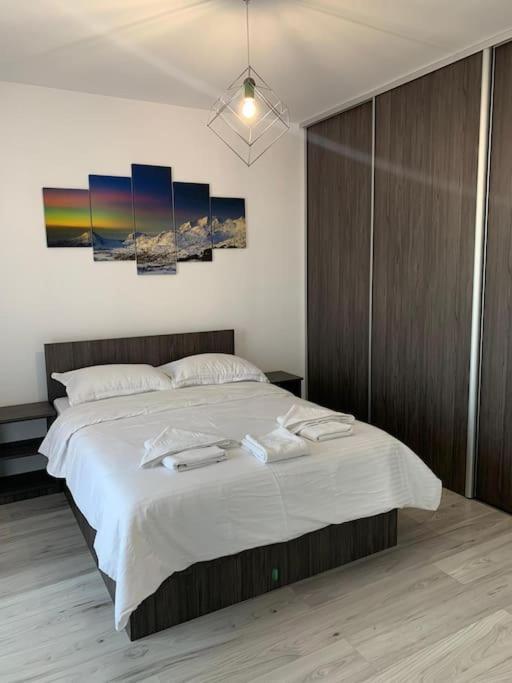 Cozy Apartment In The Center Of Κλουζ-Ναπόκα Εξωτερικό φωτογραφία